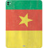 Cameroon Flag Distressed iPad Pro 13in M4 (2024) Skin